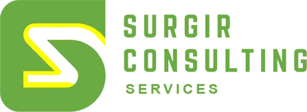 Surgir Consulting Services